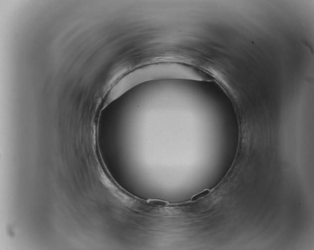 X0000099541476200805231114