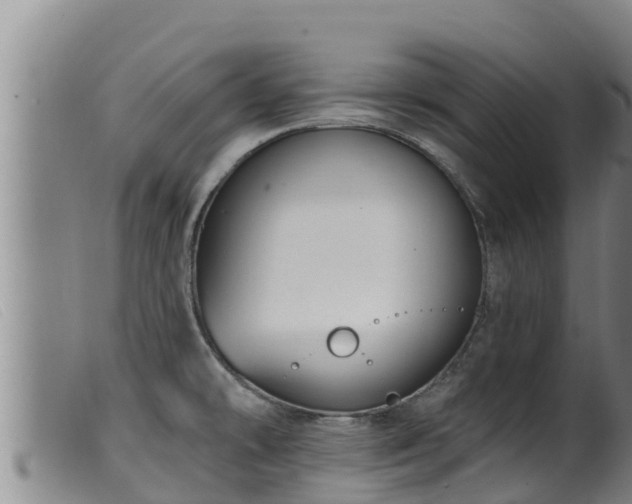 X0000099541478200805231114