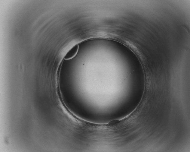 X0000099541479200805231114