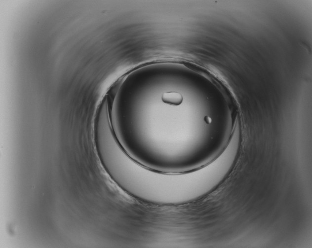 X0000099541480200805231114