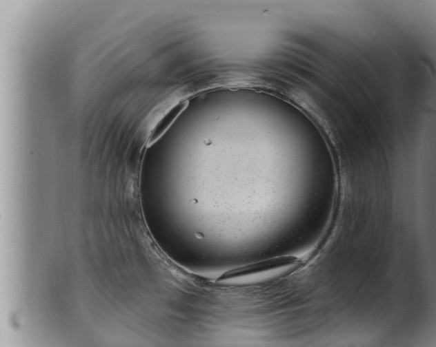 X0000099541481200805231114