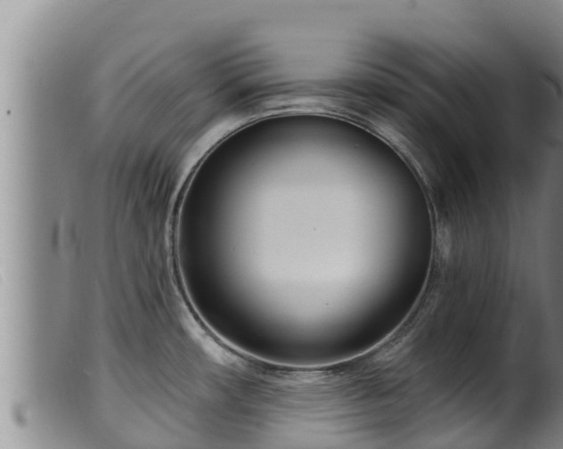 X0000099541482200805231114