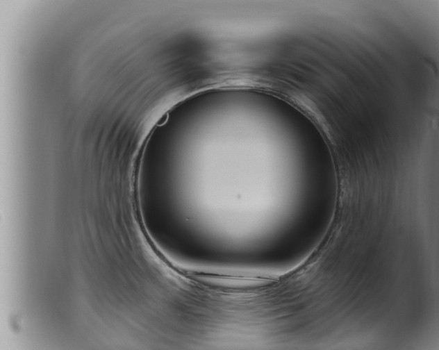 X0000099541483200805231114