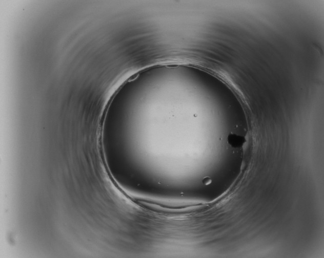 X0000099541484200805231114