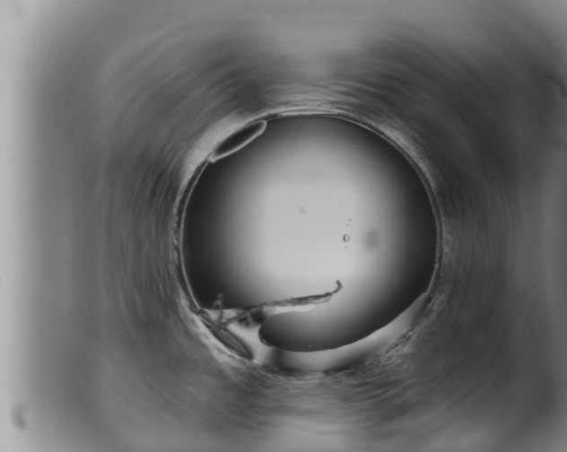 X0000099541485200805231114