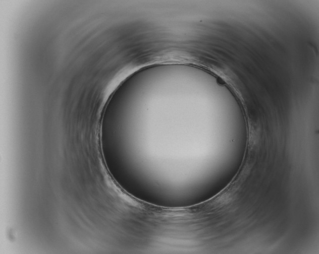 X0000099541486200805231114