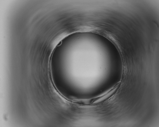 X0000099541487200805231114