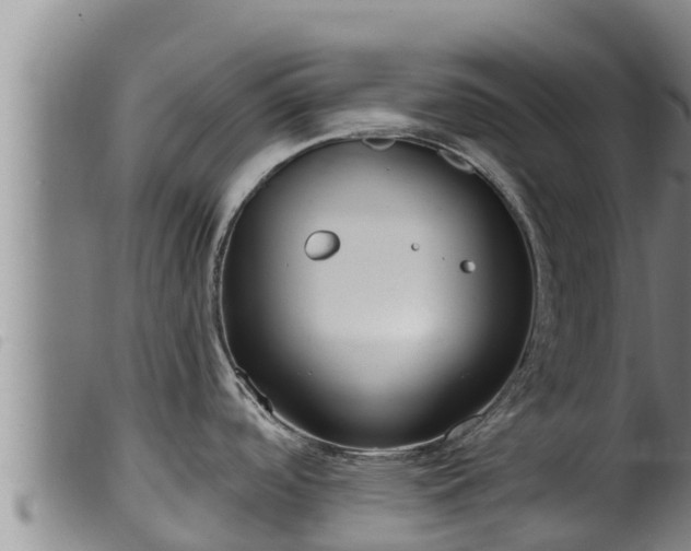 X0000099541488200805231114