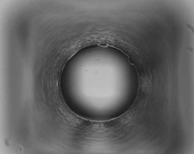 X0000099541489200805231113