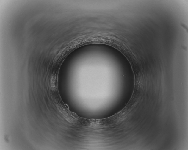 X0000099541490200805231113