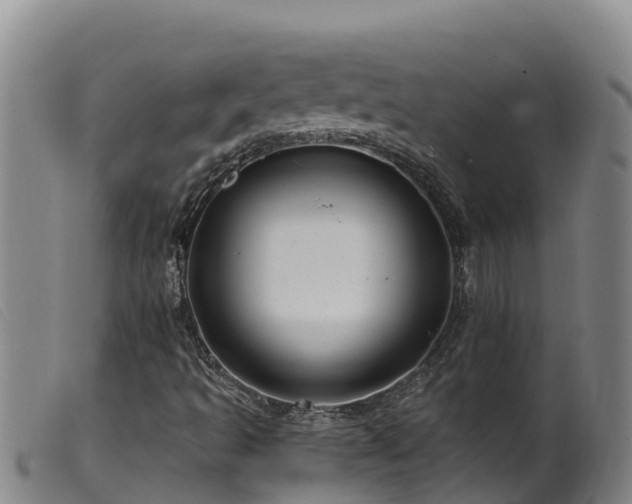 X0000099541493200805231113