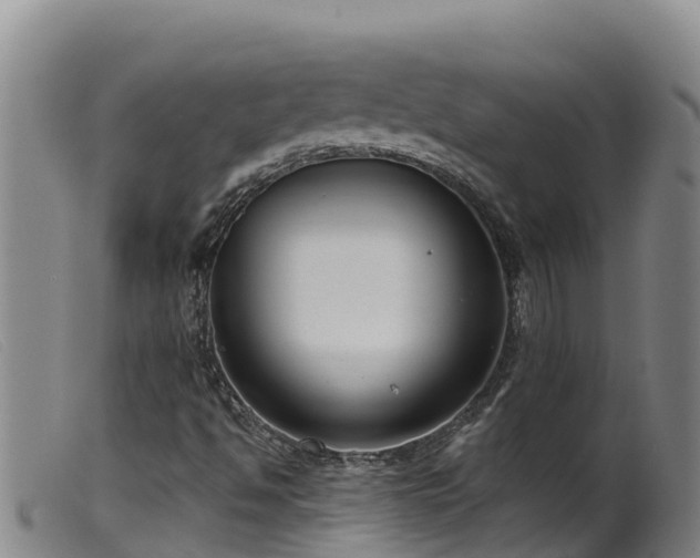 X0000099541494200805231113