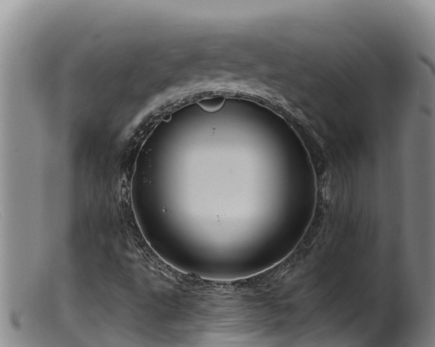 X0000099541495200805231113