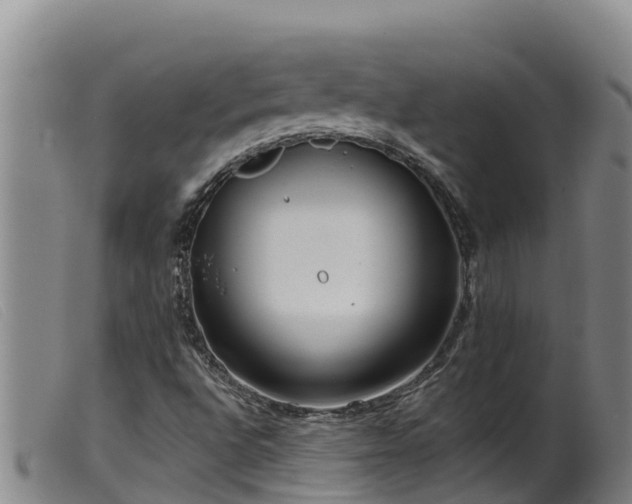 X0000099541496200805231113