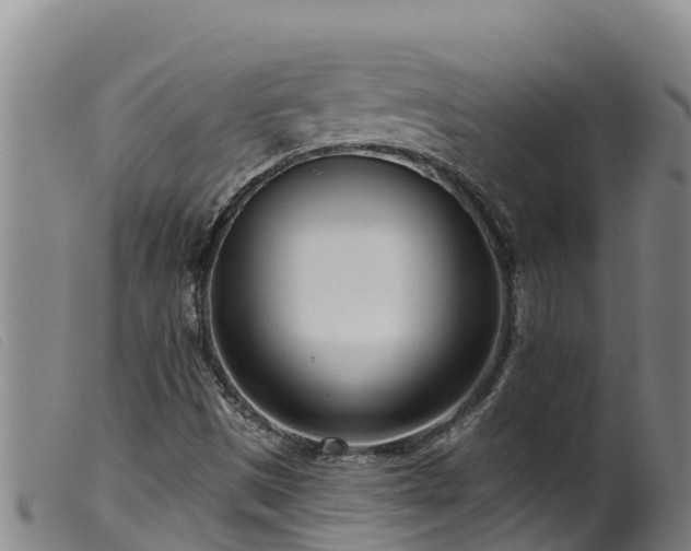 X0000099541497200805231113