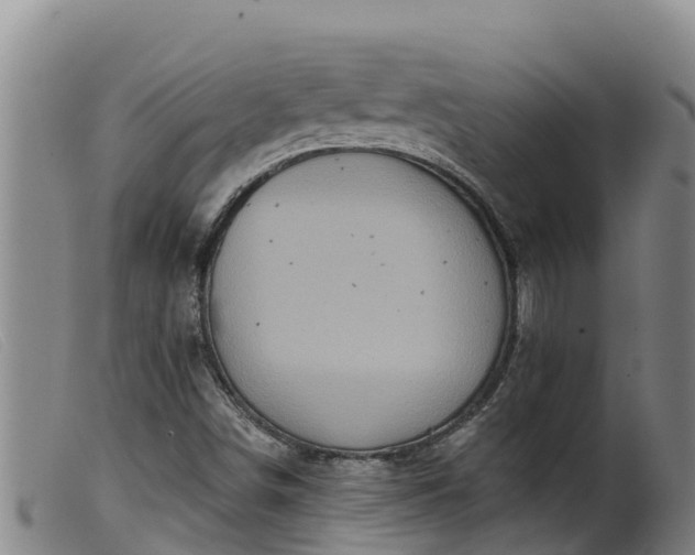 X0000099541498200805231113