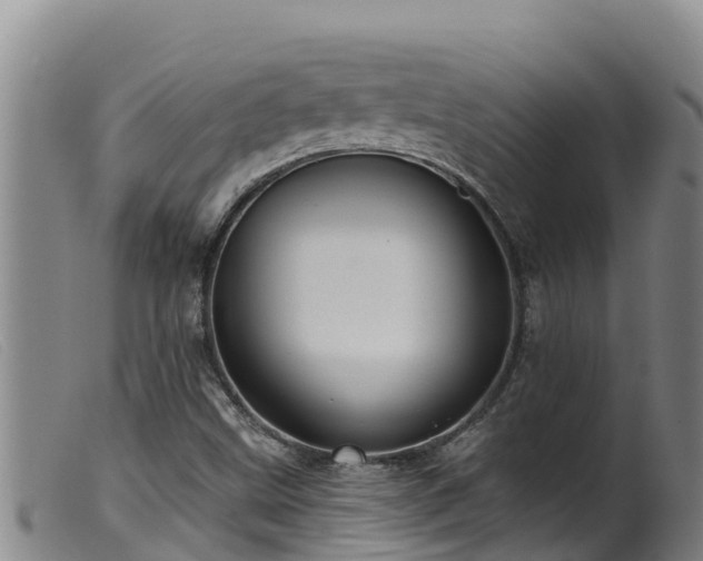 X0000099541499200805231113