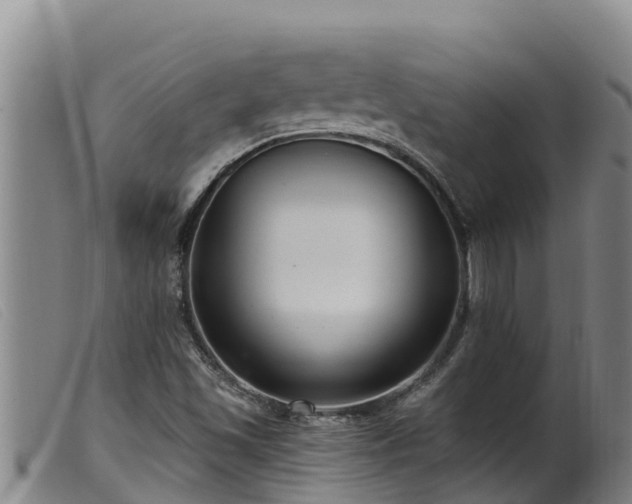 X0000099541501200805231113