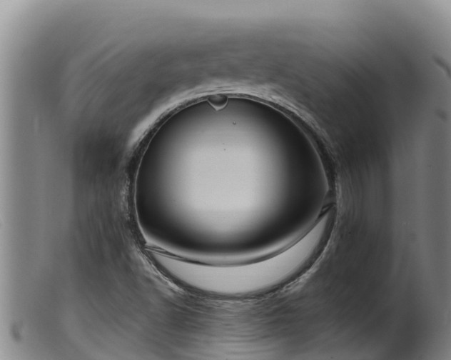 X0000099541502200805231113