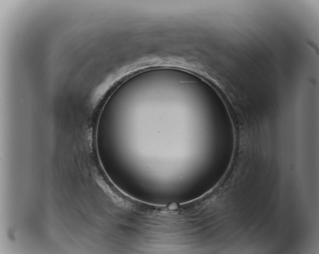 X0000099541503200805231113