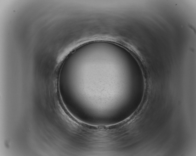 X0000099541504200805231113