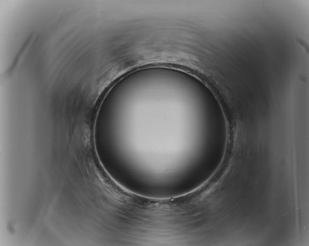 X0000099541505200805231113