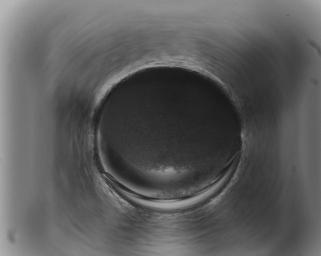 X0000099541506200805231113