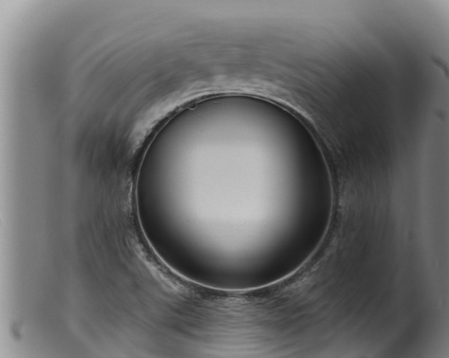 X0000099541507200805231114