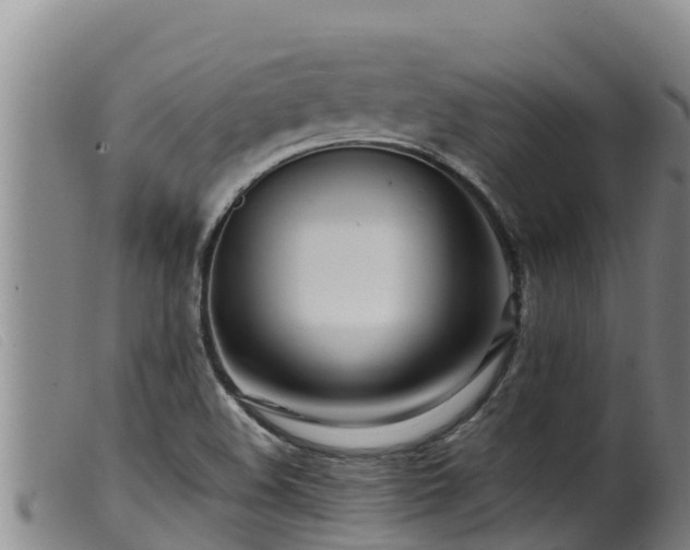 X0000099541508200805231114