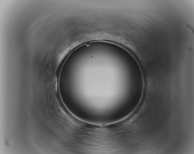 X0000099541509200805231114