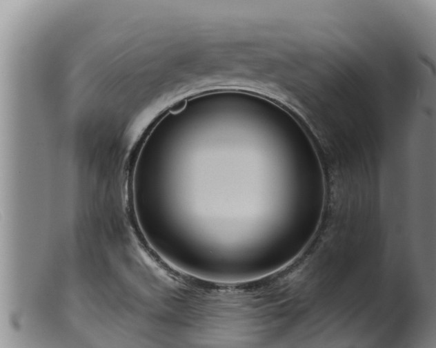 X0000099541511200805231114