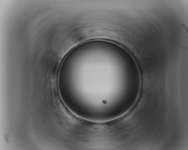 X0000099541513200805231114