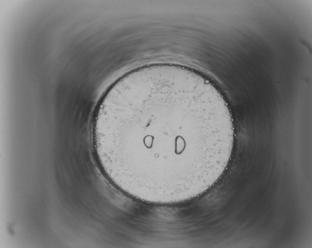 X0000099541514200805231114