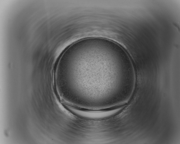 X0000099541515200805231114