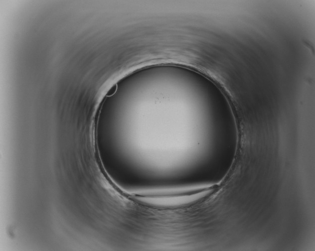 X0000099541516200805231114