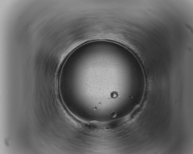 X0000099541517200805231114