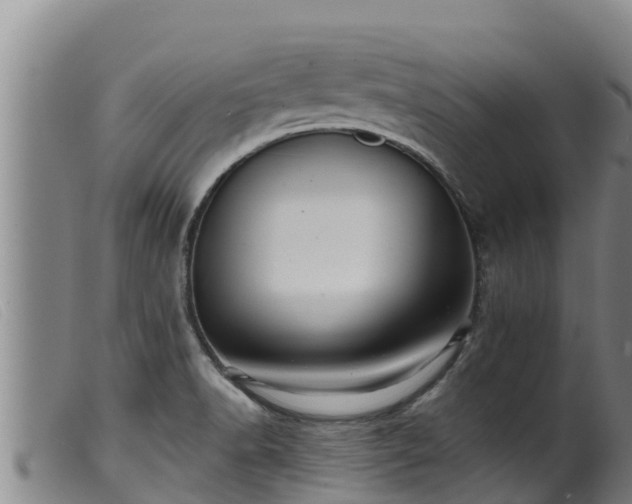 X0000099541518200805231114