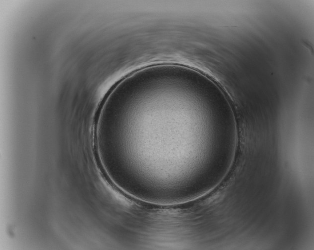 X0000099541519200805231114