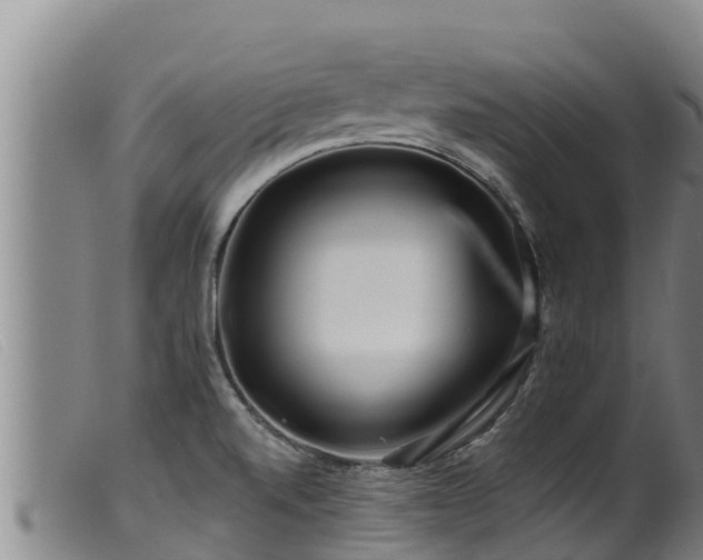 X0000099541520200805231114