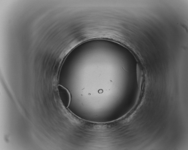 X0000099541521200805231114