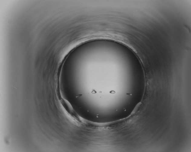 X0000099541523200805231114