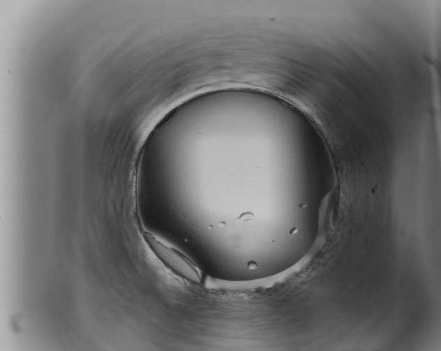 X0000099541524200805231114