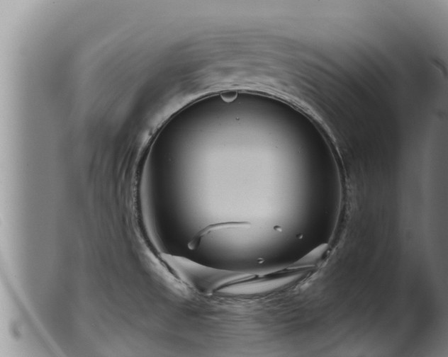 X0000099541525200805231114