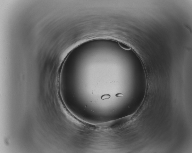 X0000099541526200805231114