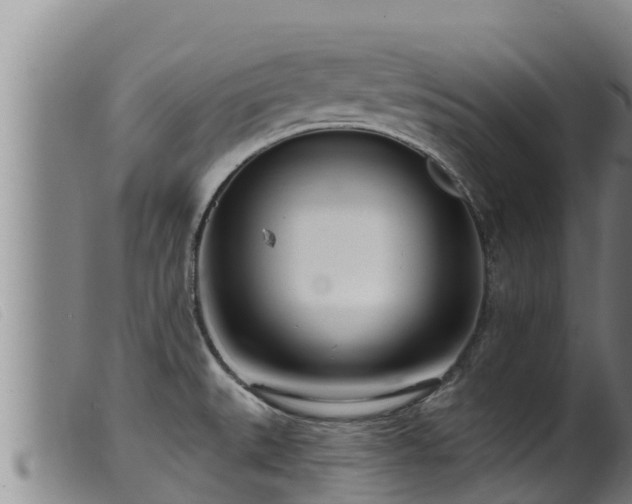 X0000099541527200805231114