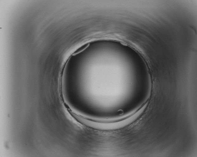 X0000099541528200805231114