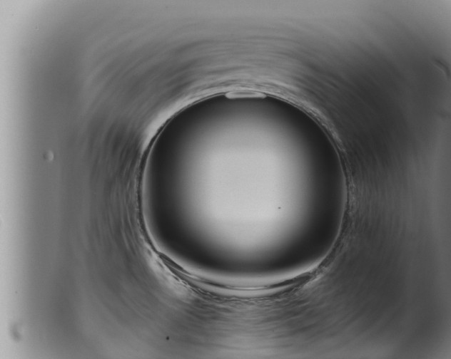 X0000099541530200805231114