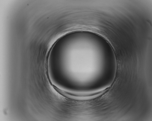 X0000099541531200805231114