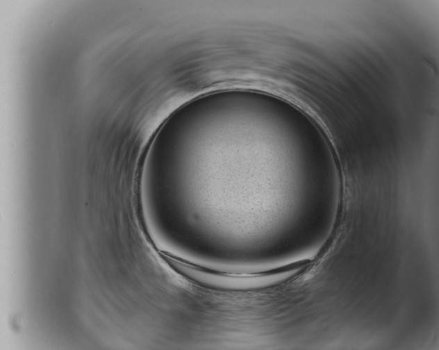 X0000099541533200805231114