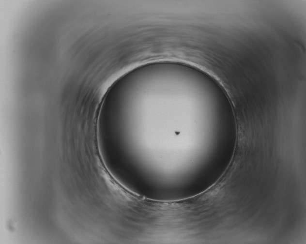 X0000099541534200805231114